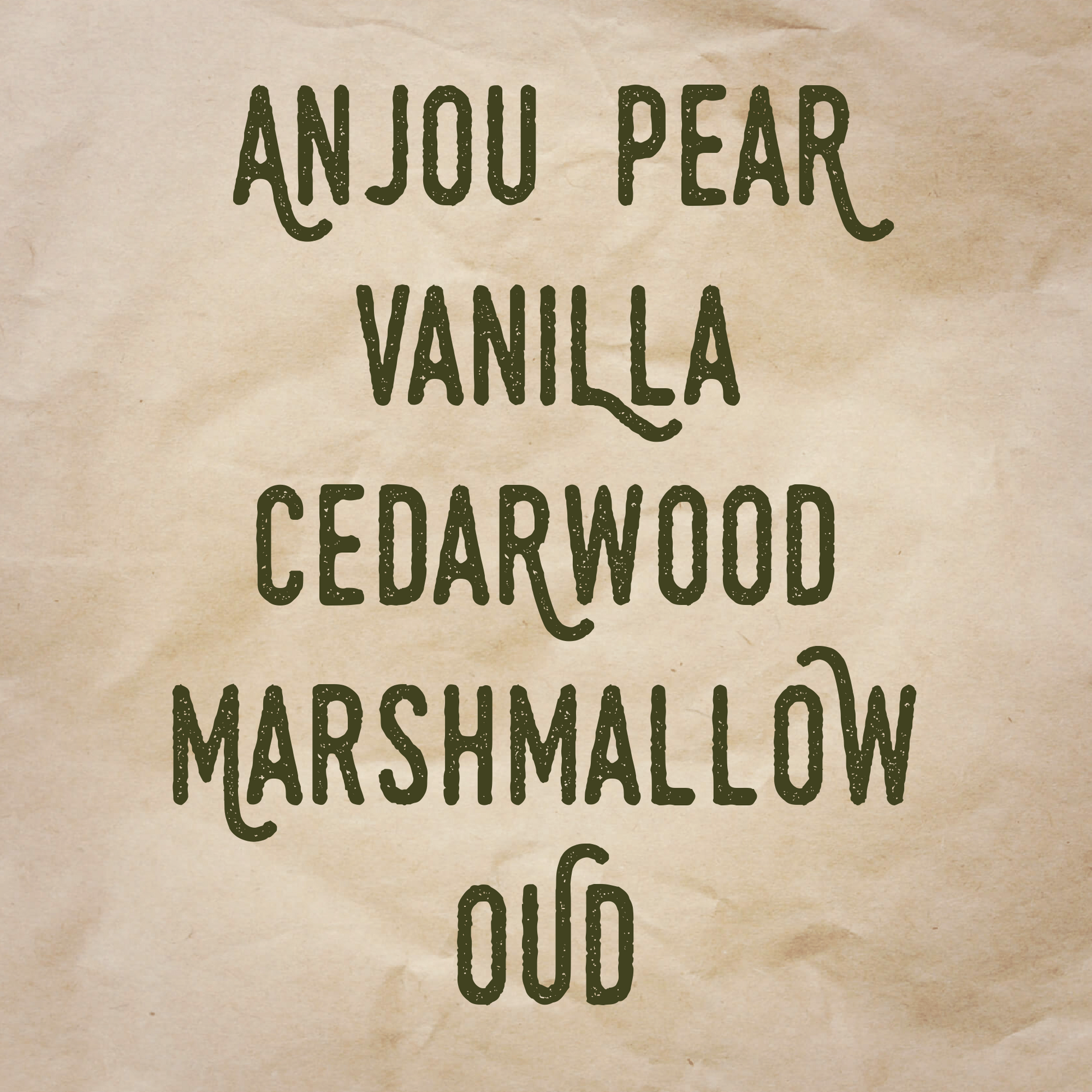 Fake Carl scent notes: Anjou pear, vanilla, cedarwood, marshmallow, and oud.
