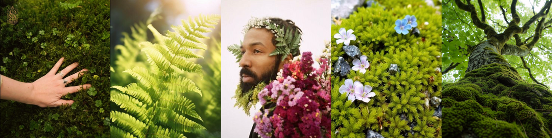 How to smell like: The Spirit of Spring