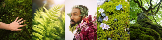 How to smell like: The Spirit of Spring