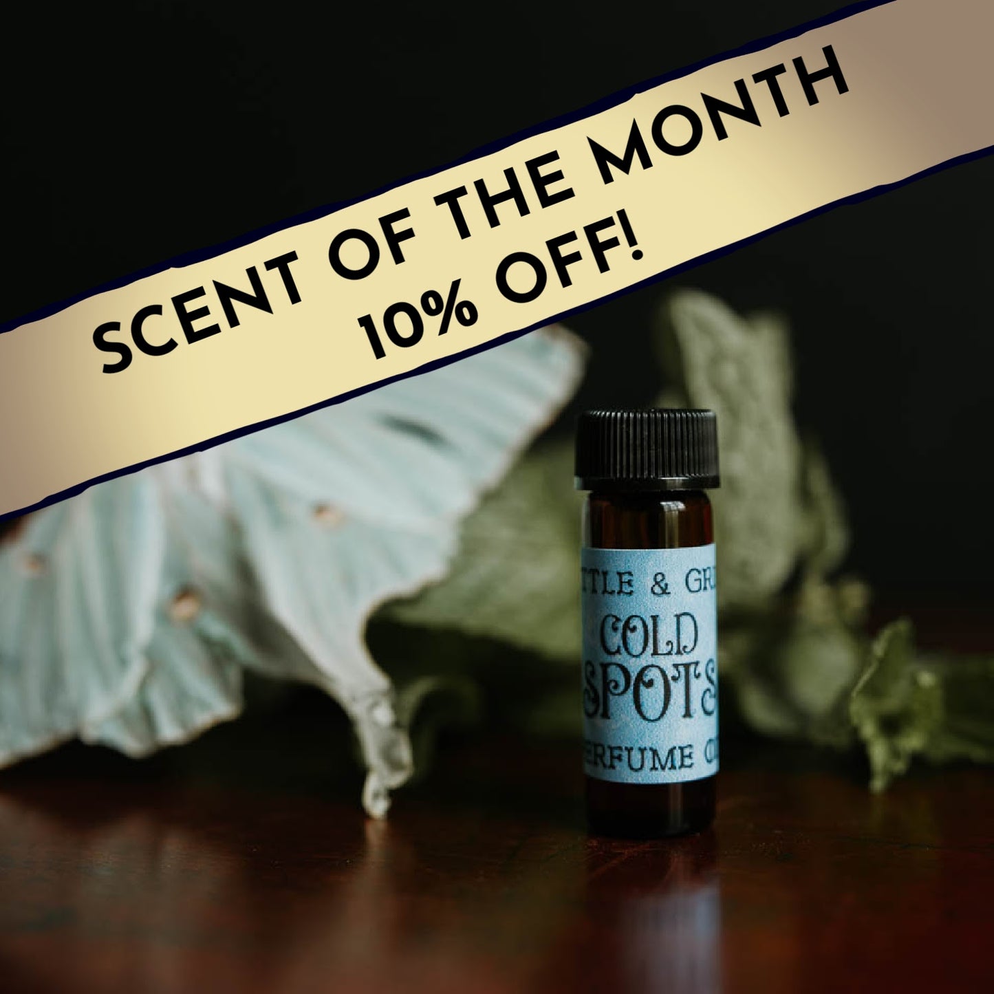 Cold Spots | Artisan Perfume