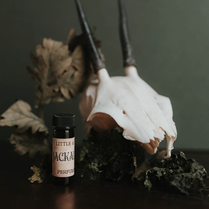 Jackalope | Artisan Perfume