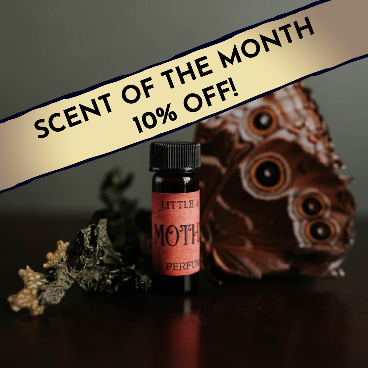 Mothman | Artisan Perfume
