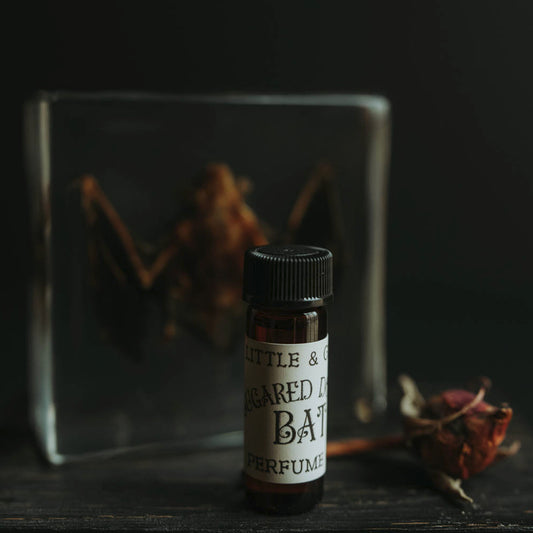 Sugared Donut Bat | Artisan Perfume