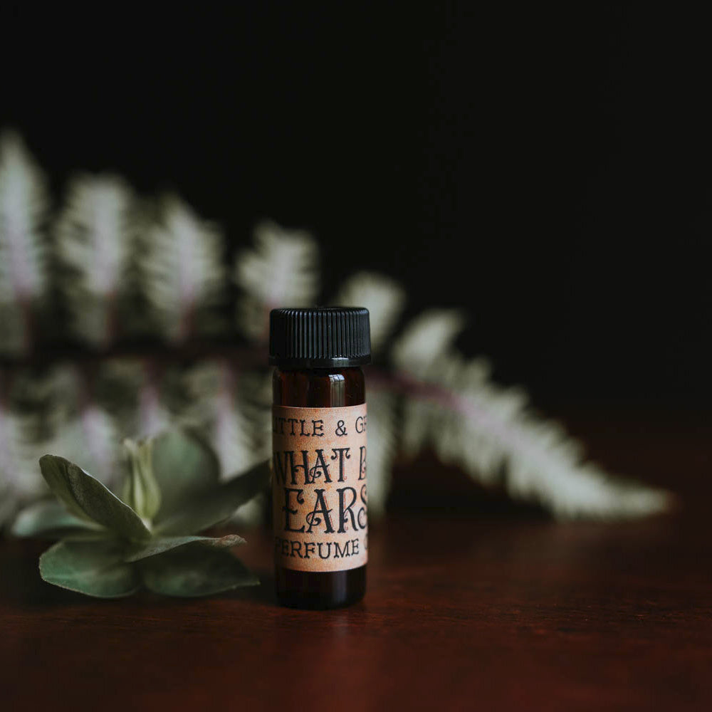 What Big Ears | Artisan Perfume