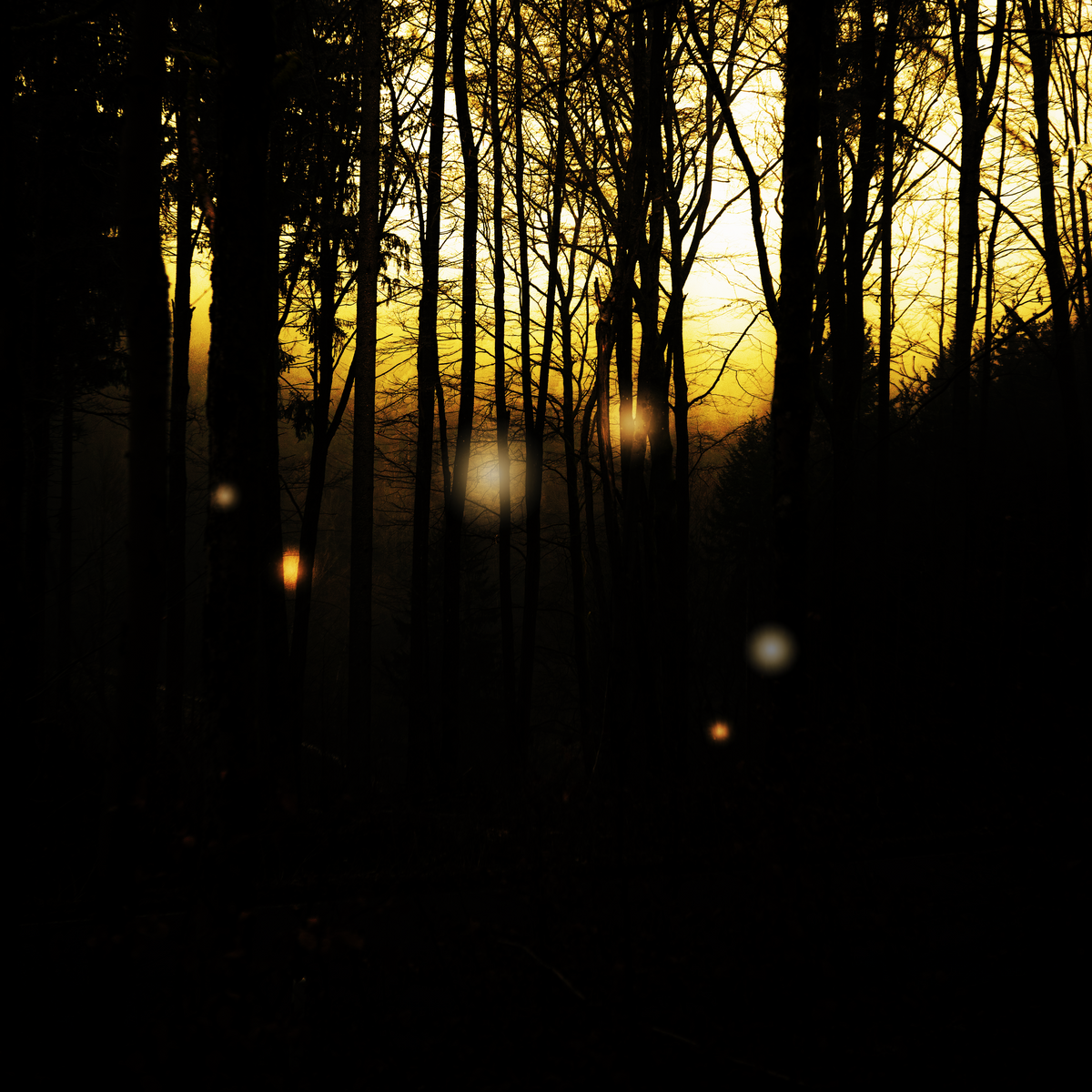 Will-o'-the-Wisp