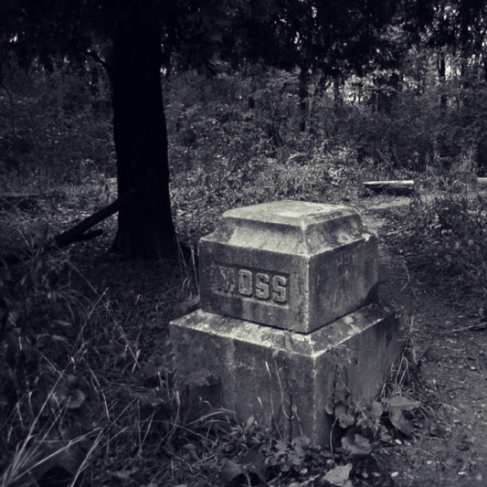 A headstone on the edge of the trees in Bachelor's Grove cemetery, which reads "Moss."