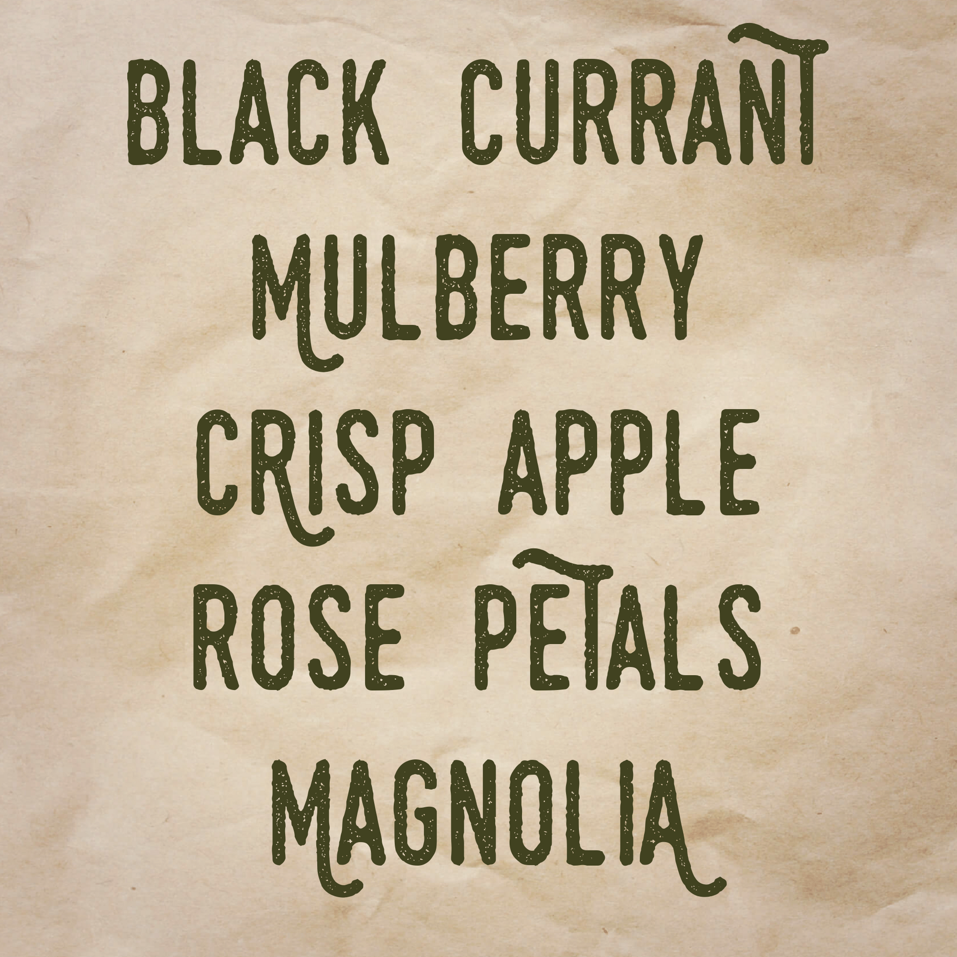 Bonaventure scent notes: Black currant, mulberry, crisp apple, rose petals, and magnolia.