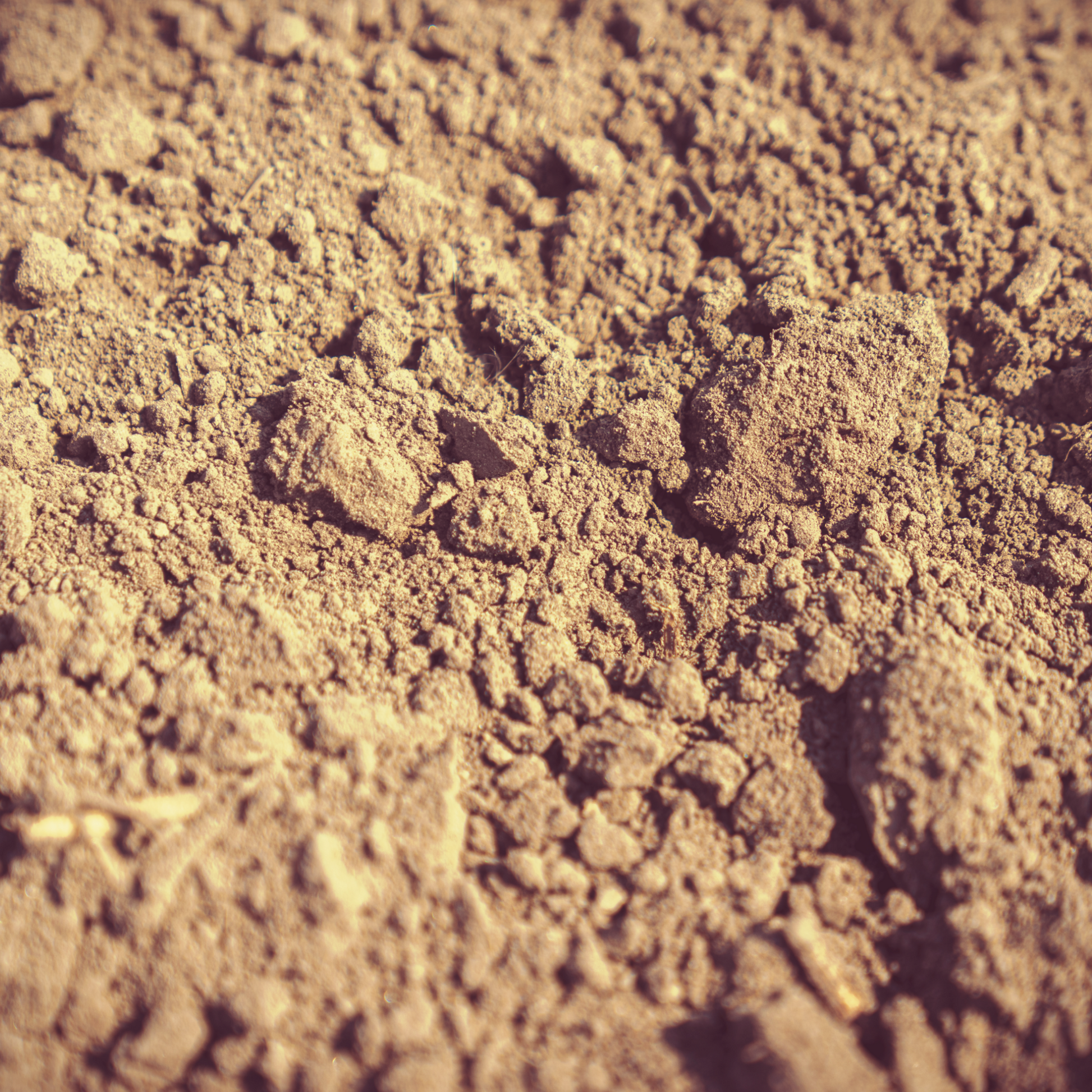 Dry dirt on a sunny day.
