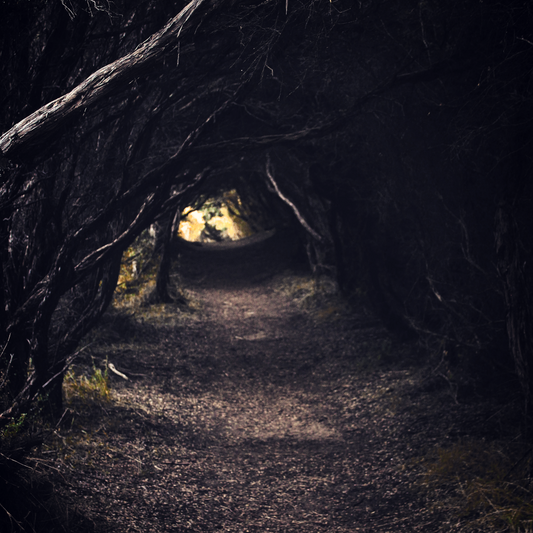 A long foreboding tunnel of tree branches along a path, with a light in the distance.