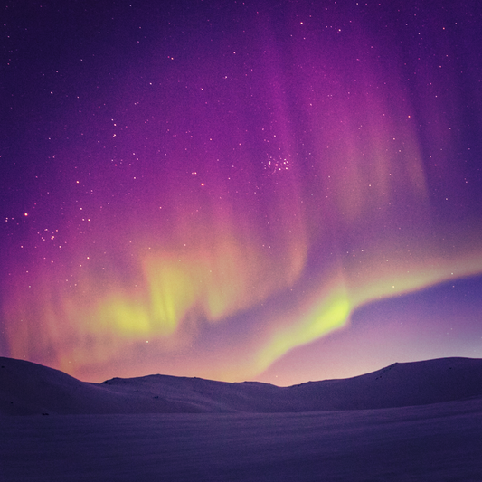 A view of the horizon below the Northern Lights or Aurora Borealis, tinted violet and yellow.