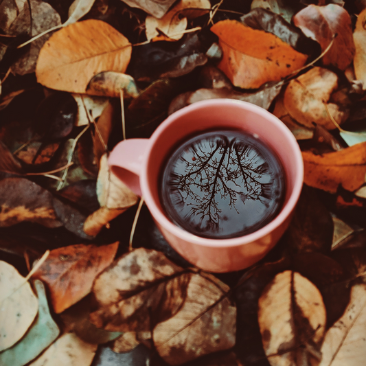A pink cup of coffee nestled among autumn leaves, with trees reflecting in the coffee.