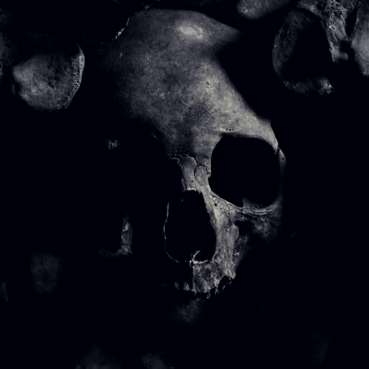 A human skull, old, and tinted grey.